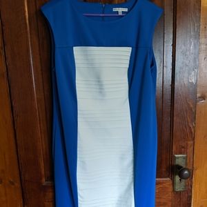 Sandra Darren blue and white dress